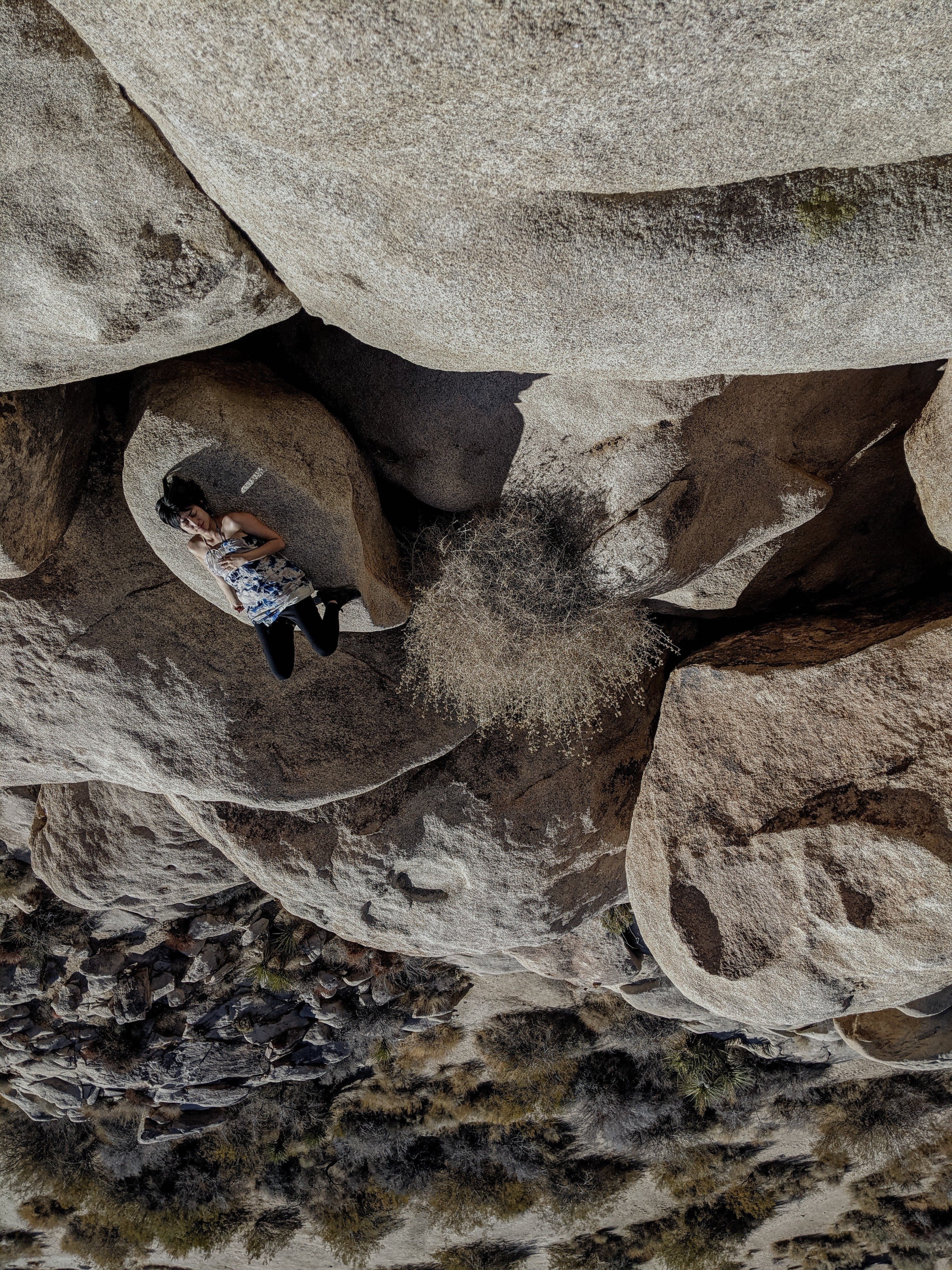 xin laying on a rock